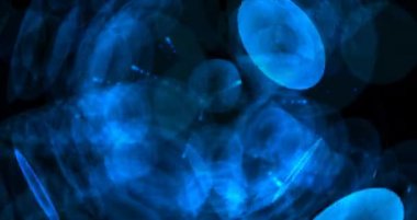 Soyut parçacık animasyon psychedelic desen