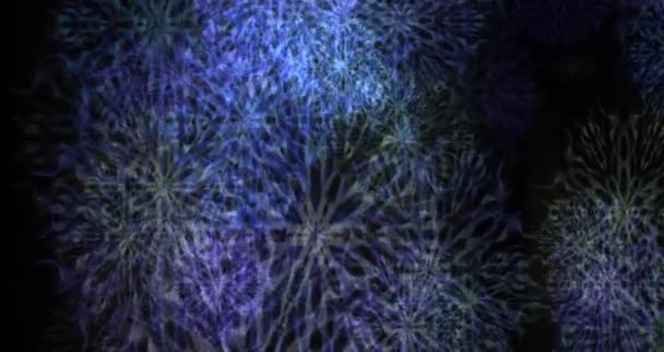 Abstract Particle Animation Psychedelic Pattern — Stock Video