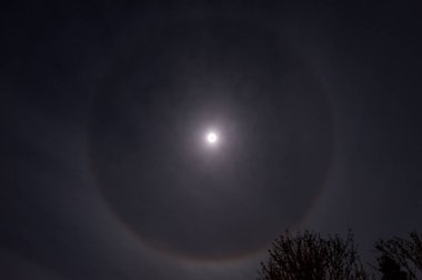 Halo ile Moon Light gece