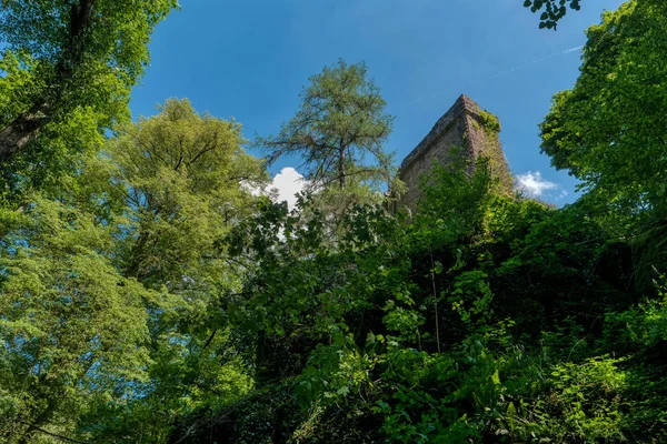 Castillo ruina Stolzeneck a lo largo de la ruta de senderismo de larga distancia Cuello —  Fotos de Stock