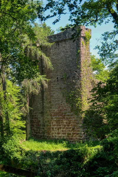 Slottsruin Stolzeneck längs långdistans vandring Trail Neck — Stockfoto