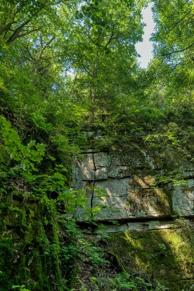 Castillo ruina Stolzeneck a lo largo de la ruta de senderismo de larga distancia Cuello —  Fotos de Stock