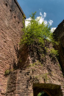 Kale harabe Stolzeneck uzun mesafe yürüyüş yolu Neck boyunca