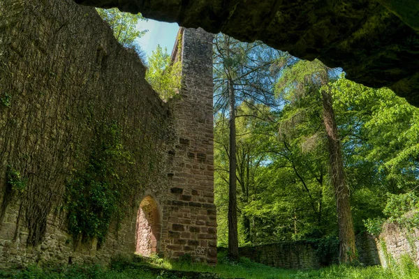 Castelo ruína Stolzeneck ao longo da trilha de caminhada de longa distância Pescoço — Fotografia de Stock