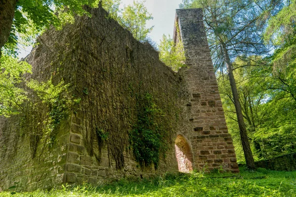 Castelo ruína Stolzeneck ao longo da trilha de caminhada de longa distância Pescoço — Fotografia de Stock