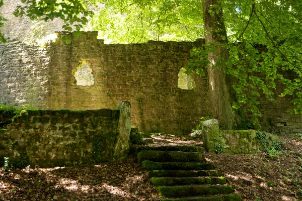 Castle ruin Stolzeneck along the long-distance hiking trail Neck — Stock Photo, Image