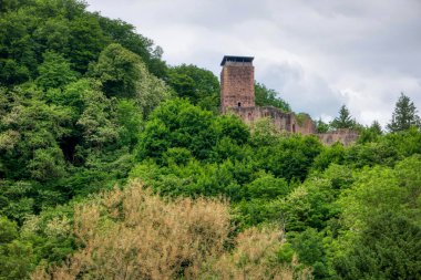 Almanya 'daki Neckarsteig' in uzun mesafe yürüyüş yolu boyunca yürü