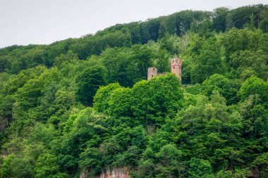 Almanya 'daki Neckarsteig' in uzun mesafe yürüyüş yolu boyunca yürü