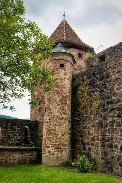 Hirschhorn langs de lange afstand wandelpad Neckarsteig in G — Stockfoto