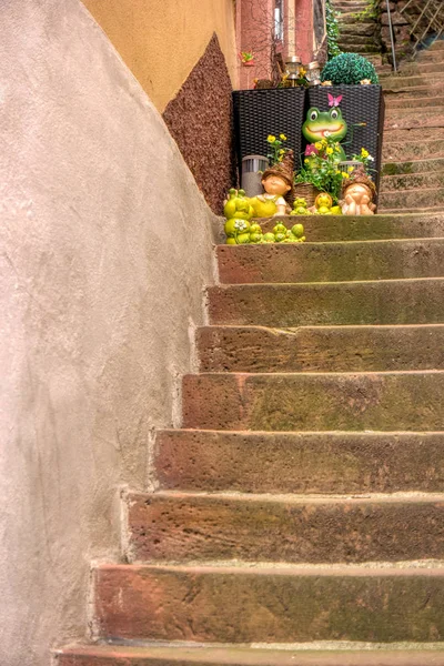 Hirschhorn längs långdistans vandringsled Neckarsteig i G — Stockfoto