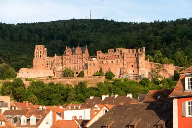 Almanya 'da Heidelberg şehir manzarası