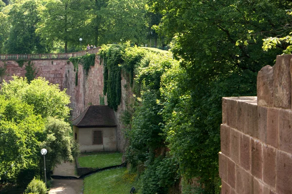 Heidelberg, Tyskland-01 juni 2019: Heidelberg slott är en ruin — Stockfoto