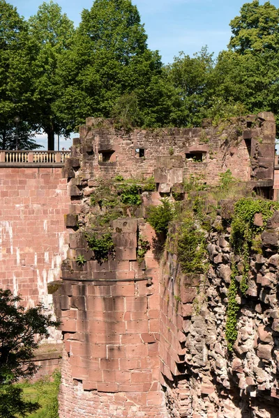 HEIDELBERG, ALLEMAGNE - 01 JUIN 2019 : Le château de Heidelberg est une ruine — Photo