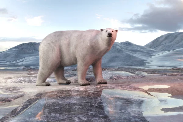 Ilustración digital 3D de un oso polar — Foto de Stock