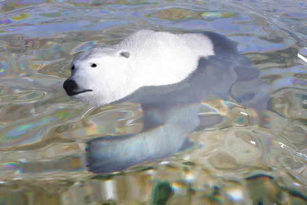 Cyfrowa ilustracja 3D niedźwiedzia polarnego — Zdjęcie stockowe