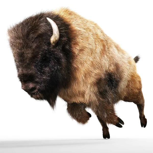 Illustration 3D numérique d'un bison — Photo