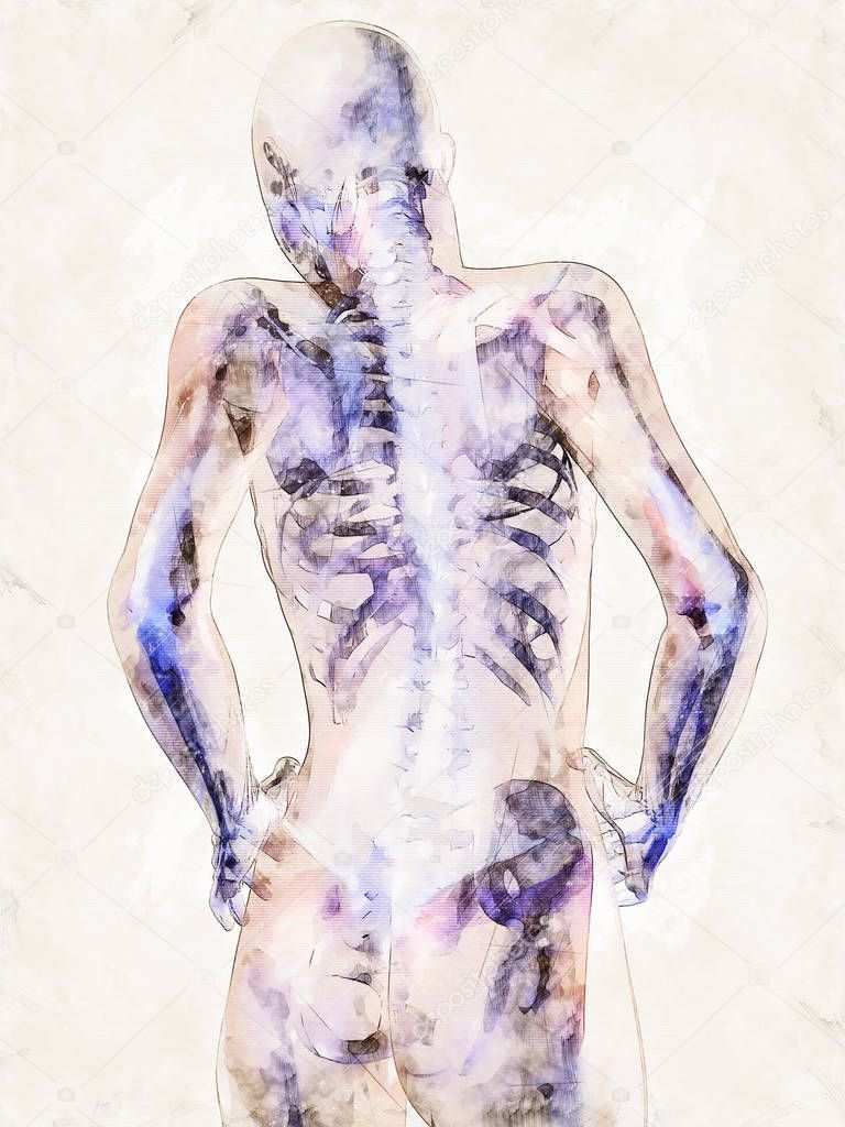 Digital artistic Sketch of the human Anatomy