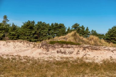 Almanya 'da Darss Kıyı Arazisi