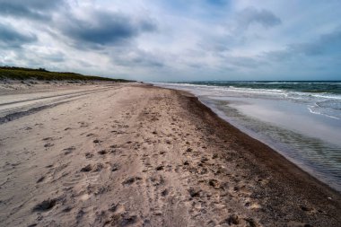 Almanya 'da Ahrenshoop yakınlarında Baltık Denizi Kıyısı