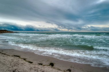 Almanya 'da Ahrenshoop yakınlarında Baltık Denizi Kıyısı