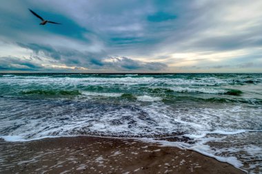 Almanya 'da Ahrenshoop yakınlarında Baltık Denizi Kıyısı