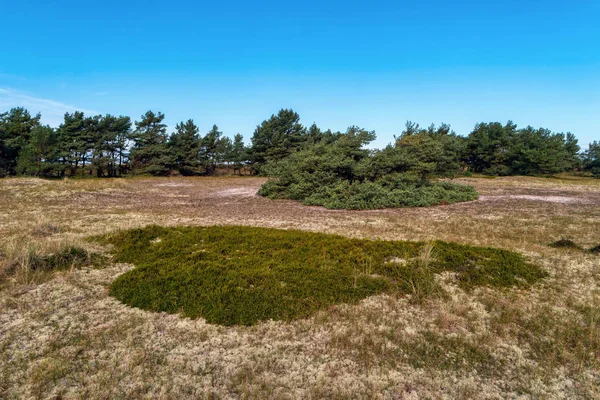 Paisaje costero en Darss en Alemania —  Fotos de Stock