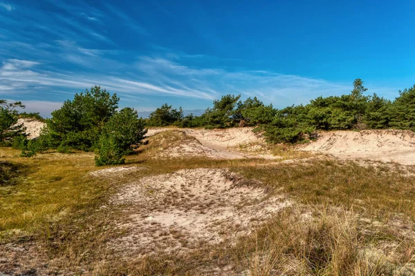 Pobřežní krajina na Darss v Německu — Stock fotografie