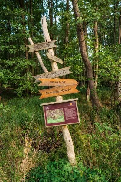 Mocsártáj Mecklenburg-Pomeránia nyugati részén Németországban — Stock Fotó