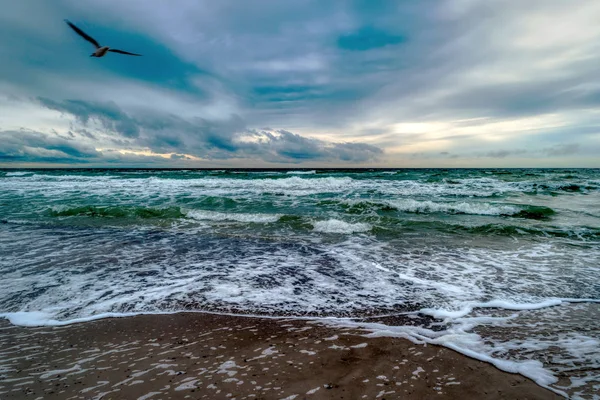 Costa del Mar Baltico vicino Ahrenshoop in Germania — Foto Stock