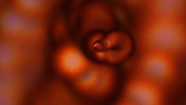 Animation numérique des particules des tourbillons