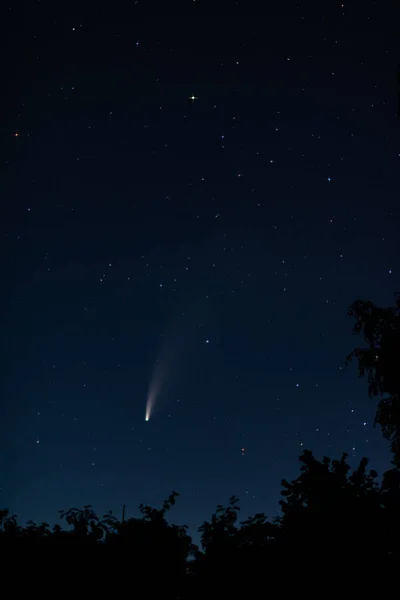 Комета 2020 Neowise Нічному Небі Над Кілем Німеччині — стокове фото