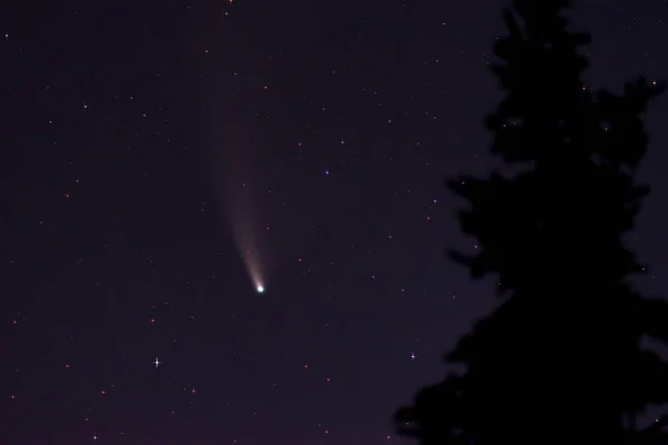 Cometa 2020 Neowise Cielo Nocturno Sobre Kiel Alemania — Foto de Stock