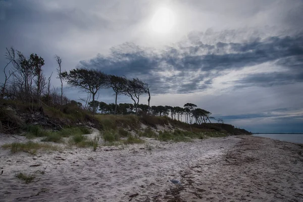 Östersjökusten Vid Darss Tyskland — Stockfoto