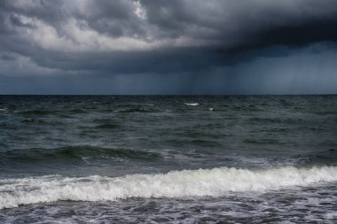 Almanya 'da Darss' ta Baltık kıyıları