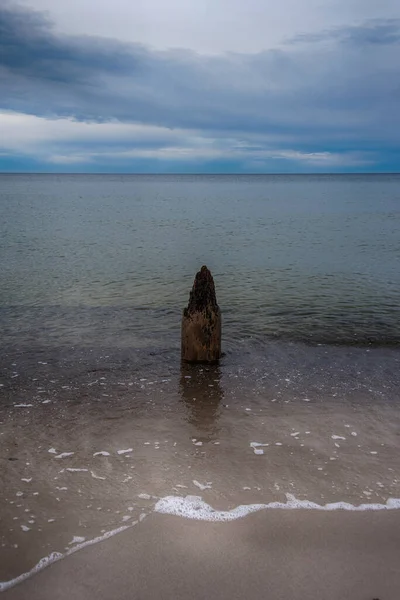 Almanya Darss Baltık Kıyıları — Stok fotoğraf