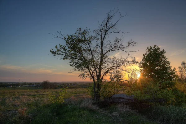 Gadget'ınız için mükemmel bir ekran koruyucu bahar günbatımı mı.