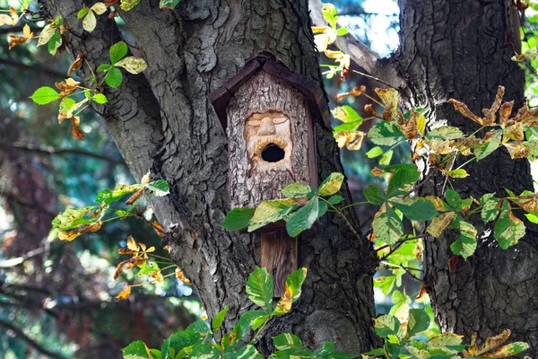 Mooie Birdhouse Een Prachtig Bos — Stockfoto