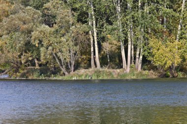 Sonbaharda Psel Nehri.