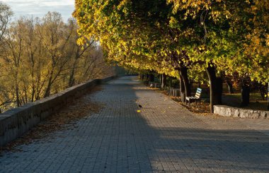Nehir kıyısında sonbahar sabahı yola belgili tanımlık becerikli alet için güzel bir arka plan olduğunu.