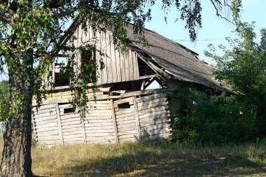 Eski bir büyümüş ev.