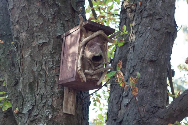 Een Mooi Vogelhuisje Een Prachtig Bos Een Visueel Hulpmiddel — Stockfoto