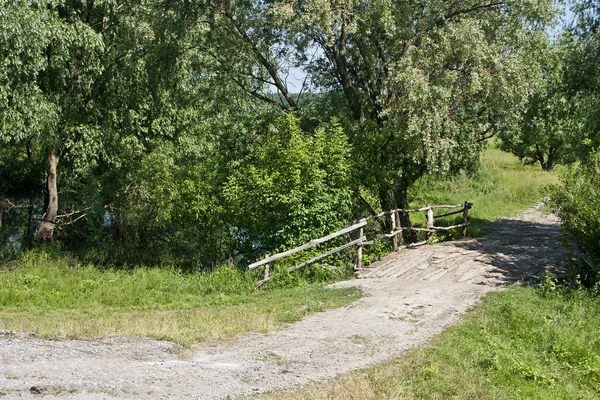 Bir nehir arka plan üzerinde çim.