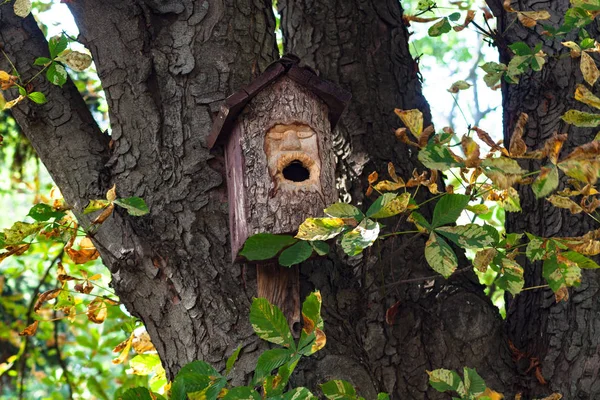 Mooie Birdhouse Een Prachtig Bos — Stockfoto