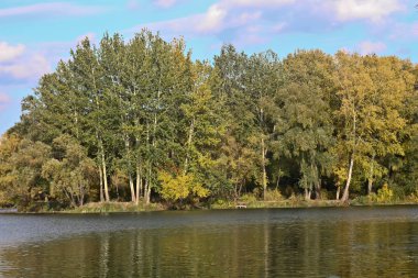 Sonbaharda Psel Nehri.