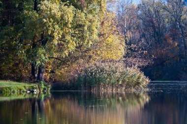 Sonbaharda Psel Nehri.