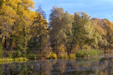 Sonbaharda Psel Nehri.