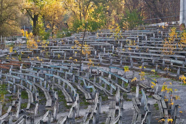 Banklar, seyirci yerine bitki örtüsü görüntü gelecek olan.