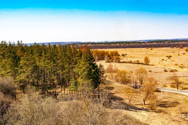 Forest Steppe Early Spring — Stock Photo, Image