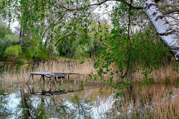 Sonbaharda Psel Nehri