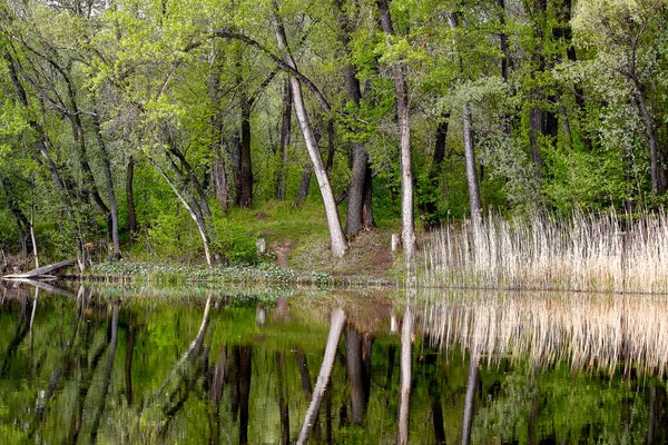 Sonbaharda Psel Nehri